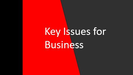 key issues for business